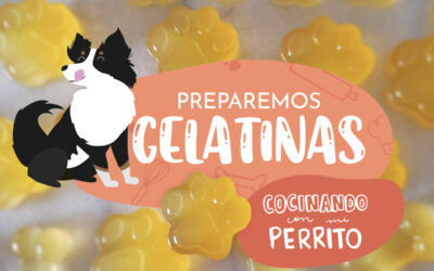 Gomitas de pollo